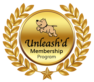 Membership Program Header, Membership Dog Daycare, Membership Dog Daycare Program, Bark-A-Bout Membership.