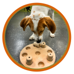 Enrichment Dog Daycare, Enrichment Daycare Logo, Learn and Play Program, Enrichment for dogs, Dog Enrichment, Enrichment Program.